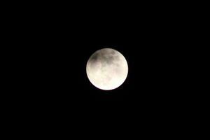 pieno Luna splendente luminosa nel il notte foto