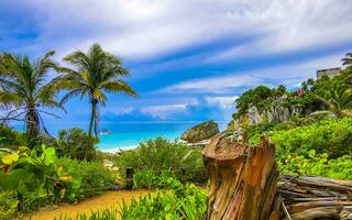 naturale paesaggio marino panorama spiaggia Visualizza tulum rovine Maya luogo Messico. foto