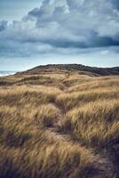 sentiero nel il dune di veljby klit con nuvole su il orizzonte foto