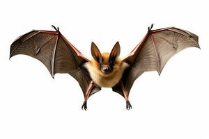 ai generato realistico pipistrello clipart foto