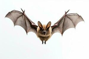 ai generato realistico pipistrello clipart foto