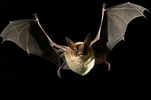 ai generato realistico pipistrello clipart foto