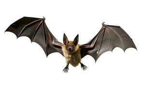 ai generato realistico pipistrello clipart foto