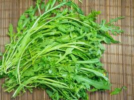 rucola su un' di legno superficie. verdura a partire dal il giardino. impianti per cibo. gustoso erba. salutare cibo preparazione. foto