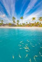 bambino scogliera squali vicino per tropicale isola spiaggia, costa di Maldive con palma alberi e bianca sabbia, lusso ricorrere Hotel sfondo. sorprendente viaggio destinazione concetto, estate vacanza paesaggio foto