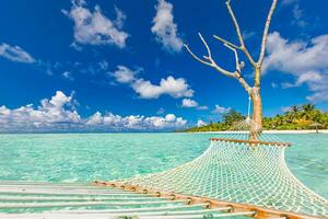 rilassare vacanza tempo libero stile di vita su esotico tropicale isola spiaggia, aereo acqua amaca sospeso calma mare. Paradiso spiaggia paesaggio tranquillo spensierato Alba cielo nuvole sorprendente. bellissimo natura la libertà foto