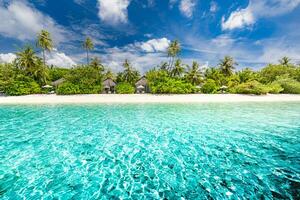 incredibile spiaggia naturale con palme e cielo lunatico. concetto di sfondo vacanza viaggio vacanze estive. spiaggia paradiso delle maldive. concetto di sfondo per vacanze estive di viaggio di lusso. foto