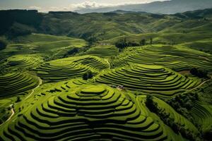 ai generato aereo Visualizza di verde riso campo terrazze nel mu cang chai, Yenbai, Vietnam, aereo fuco Visualizza di forme di cha gorreana tè piantagione a sao miguel, ai generato foto