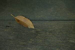 il sfondo è un vecchio di legno pavimento con modelli a partire dal età e decadimento. foto