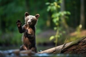 ai generato orso cucciolo nel natura su estate foresta sfondo. ai generato foto