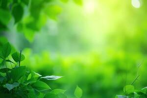 ai generato ramo con verde le foglie nel luce del sole, bokeh effetto. estate sfondo. ai generato foto