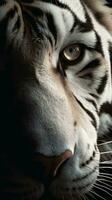 ai generato avvicinamento bianca tigre occhio, ritratto di animale su buio sfondo. ai generato foto