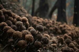 ai generato secco fiori nel il foresta avvicinamento. autunno sfondo foto