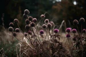 ai generato secco fiori nel il foresta avvicinamento. autunno sfondo foto