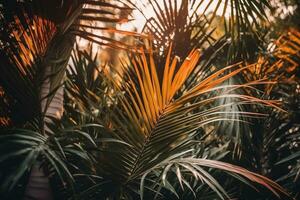 ai generato tropicale palma le foglie avvicinamento estate sfondo. ai generato foto