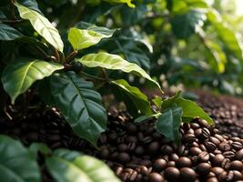 ai generato natura caffè fagioli vicino su per sfondo. caffè piantagione foto