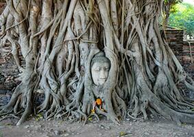 ayutthaya, un' mondo eredità città di Tailandia foto