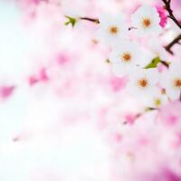 ai generato ciliegia fiorire sfondo con metà sfocatura foto