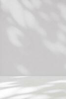 sfondo bianca parete studio con luce, ombra su superficie piano, vuoto cucina camera con scrivania podio Schermo modello, in alto mensola bar con luce del sole, sfondo calcestruzzo sfondo per primavera cosmetico Prodotto foto