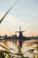 popolare turista individuare zaanse schans è vicino amsterdam nel il ovest di il Olanda. storico, realistico mulini a vento durante Alba. dell'Olanda punto di riferimento foto