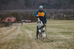 giovane cinologo, un' cane allenatore treni un' a quattro zampe animale domestico australiano pastore nel di base comandi utilizzando tratta. amore fra cane e umano. carineria foto