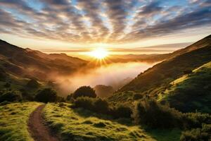 ai generato Alba nel il nebbioso mattina HD sfondo sfondo foto