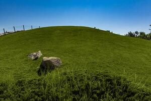 estate paesaggio con verde erba su pendio su blu cielo sfondo foto