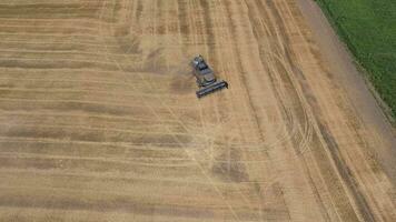 raccolta orzo mietitrici. i campi di Grano e orzo, il opera di agricolo macchinari. foto