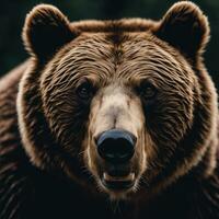 ai generato formidabile viso di un' orso foto