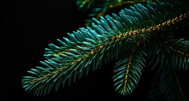 ai generato svizzero abete Natale albero isolato su buio sfondo Natale albero foto