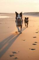 ai generato sagome di cani in esecuzione su sabbioso spiagge cane foto