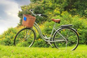 biciclette nel parco