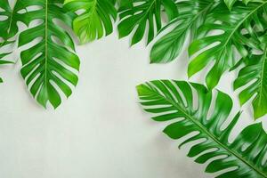 ai generato vuoto parete sfondo con tropicale le foglie. professionista foto