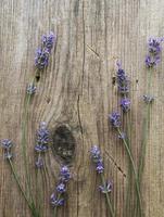 lavanda su un vecchio fondo di legno foto