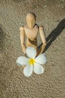 di legno Modelli dare un' fiore su il spiaggia. foto