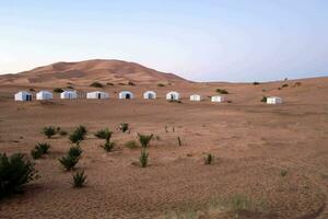 un' gruppo di tende nel il deserto con sabbia dune foto