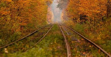 autunno foresta tra quale va un' strano tram foto