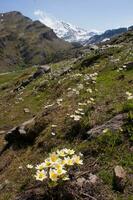 un' montagna nel il sfondo foto