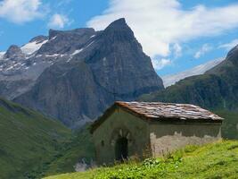 un' montagna nel il sfondo foto