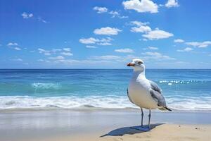 ai generato gabbiano su il spiaggia sotto blu cielo. foto