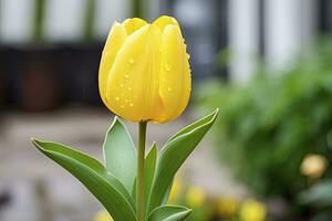 ai generato giallo tulipano nel il giardino. ai generato foto