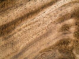 sfondo di legno marrone. foto