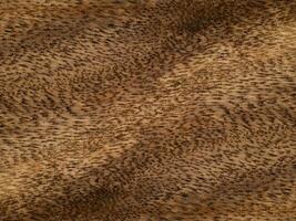 sfondo di legno marrone. foto