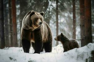 ai generato Marrone orso mamma con poco cucciolo nel selvaggio congelato foresta. creare ai foto