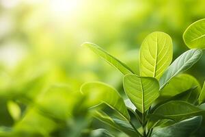 ai generato natura di verde foglia nel un' giardino nel estate sotto luce del sole. primavera sfondo. ai generato foto