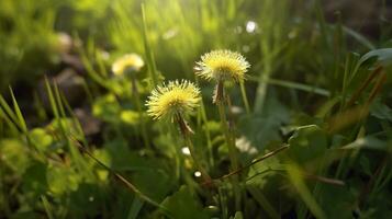 ai generato il verde primavera mattina. generativo ai foto