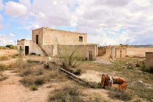 un vecchio abbandonato Casa nel il deserto con un' mucca foto