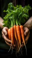 ai generato del giardiniere mano Tenere un' appena raccolto carota a partire dal un' primavera giardino. foto