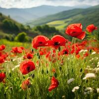 ai generato un' campo di rosso papaveri nel il primo piano con un' sfocato verde sfondo e copia spazio per il giusto foto