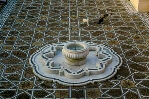 un' Fontana nel il cortile di un' edificio foto